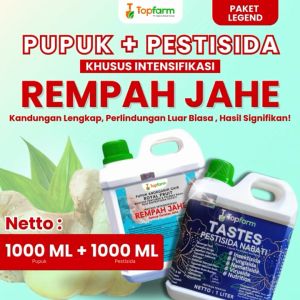 Pupuk dan Obat Hama untuk Tanaman Jahe