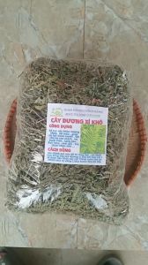1kg cây dương xỉ sấy khô hữu cơ