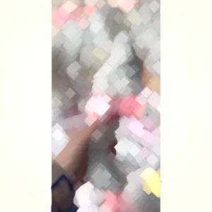 Gấu xù lông trắng đội mèo Kitty mặc áo hồng dễ thương kèm tag cài