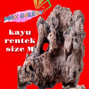 aquarium aquascape akar rentek size M panjang 30cm