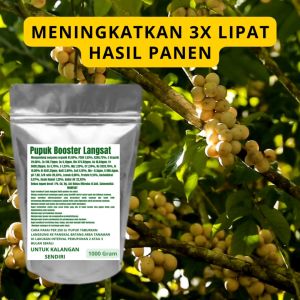 Pupuk Booster Langsat Pelebat Organik Cepat Berbuah Lebat Besar Anti Rontok Pembesar Langsat