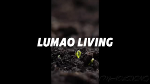 300g Soil Activation Treasure – Soil Activator Promote Rooting & Fruiting Pengaktif Tanah & Pemulihan Tanah