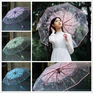 Transparent Umbrella for Women Foldable Daisy Design Windproof Rainproof Portable Cute Flower PVC Umbrella for Girls
