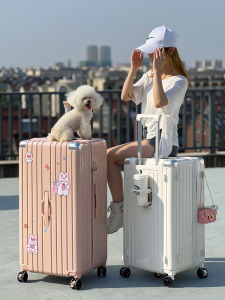 Large Capacity PC Luggage Suitcase with Universal Wheels Travel Password Lock Womens Style Shockproof Brake Wheel And Cup Holder