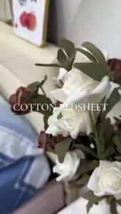 [FS10 蓝色线条] 2500TC Luna Milk Bedsheet 牛奶丝棉床单