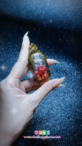 Thai Amulet 媚宏派護身牌 Mae Hong Prai Amulet