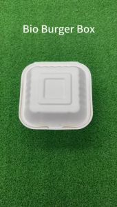 Biodegradable Burger Box / Sugarcane Burger Box / Cake Box / Disposable Kueh Box /Bio Burger Box / Take Away Box