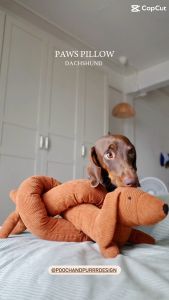Dachshund Paws Pillow เล่นสุนัชช่วย ซ่อนขนม ซ่อนอาหาร ตุ๊กตาของเล่นมีเสียง