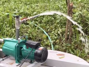 Eurorecar Heavy-Duty 2200W Jetmatic Self-Priming Water Pump 3.0HP 60L/Min for Shallow Well and Multiple Scenarios
