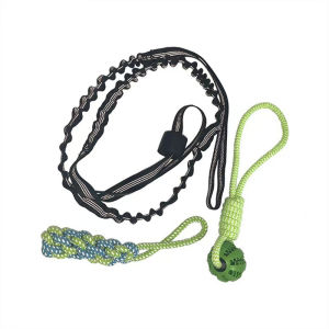 Spring Pole Dog Rope Toys Dog Interactive Tether Tug of War Toy Indoor/Outdoor Bungee Hanging Dogs Toy