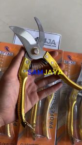 Gunting Dahan / Ranting Bunga Tanaman-Stainless Steel / GUNTING DAHAN GAGANG BESI CROM EMAS MERK TEXAS