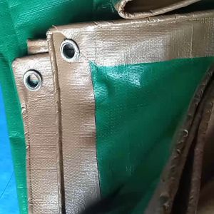 Terpal KOREA A20 Warna Hijau Gold ukuran 8x10 meter