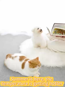 Pet Cooling Pad Cat&Dog Summer Ice Pad Waterproof Sleeping Bed Dog Sofa 宠物冰垫