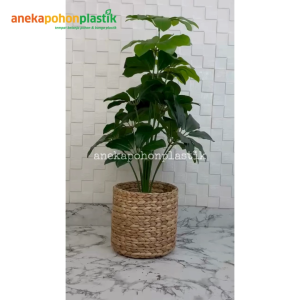 Tanaman Hias Pohon Artificial Daun Walisongo X12 Semi Latex Cover Eceng Gondok Large Hiasan Rumah Hiasan Ruang Tamu