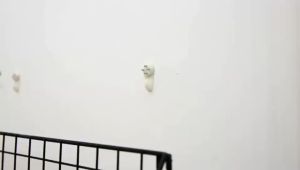 🌟S/M/L🌟Grid Wall Shelf Hook Mounted Hanging Shelf Bedroom Wooden Iron Large Size Storage Holder Rack Wall Storage