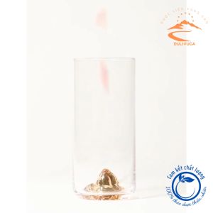 Kỷ tử đỏ AAA loại to size đại thượng hạng câu kỷ tử kỉ tử đỏ sấy khô quả to đỏ đều kỳ tử kì tử đỏ giúp đẹp da bổ máu dễ ngủ sáng mắt