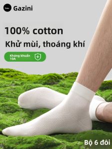JIAZINI | Vớ Mỏng Hè Cotton Thoáng Khí Hút Mồ Hôi Chống Hôi Dài Ngang Đùi
