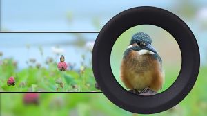 [🇩🇪นำเข้าจากเยอรมนี] กล้องส่องทางไกล 80X80 ความละเอียดสูงระดับ IPX7 กันน้ำ พกพาสะดวก เหมาะสำหรับการปีนเขา เดินป่า ชมสถานที่