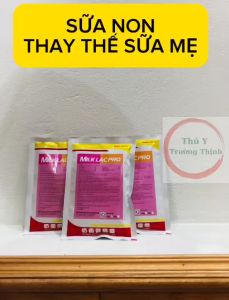 [thú y] SỮA CHO PET THÚ CƯNG CHÓ MÈO MILK PRO 100GAM SỮA DINH DƯỠNG