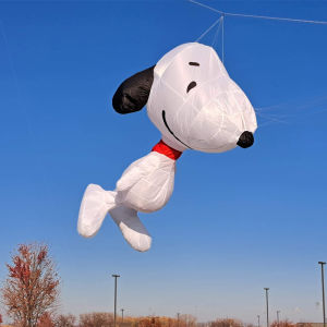 Large kites pendant ripstop nylon fabric windsock kite giant soft kites for adults kites octopus kites trilobites kites factory