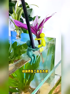 โต๊ะและชั้นวางดอกไม้ชั้นวางรองรับการเพาะปลูกพืชชั้นวางการเพาะปลูกพืชตกแต่งพืช