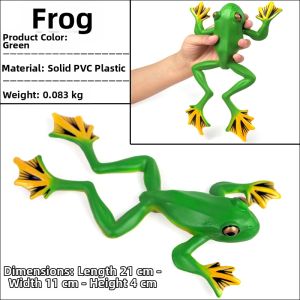 Educational Realistic Solid Frog Model Toy