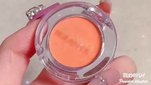 Powder Blush Monochrome Waterproof Long Lasting Plate Peach Orange Soft Mist Matte Natural Blush