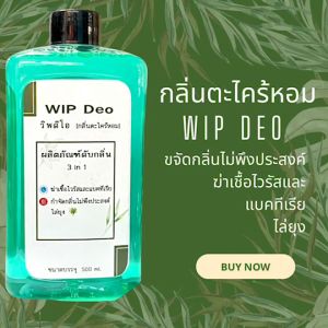 สเปรย์ดับกลิ่น(กลิ่นตะไคร้หอม) น้ำยาดับกลิ่นห้องน้ำ น้ำยาฆ่าเชื้อโรคและดับกลิ่น ขจัดกลิ่นไม่พึงประสงค์ วิพดิโอ ขนาดบรรจุ 500ml.