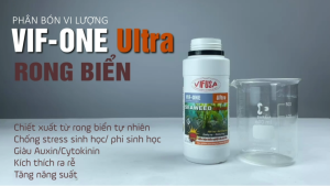 VIF-ONE Ultra - Phân bón rong biển chai 500ml