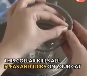 Pet Dog Cat Anti Flea Tick Collar Insect mosquito Repellent Prevention /Anti Insect Flea Tick Collar for Dog Cat