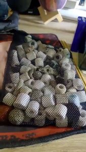 หินกรอง 12 in 1 ตู้ปลา 500g หินภูเขาไฟ หินกรองบ่อปลา Ceramic Ring