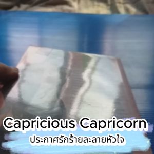 Capricious Capricorn ประกาศรักร้ายละลายหัวใจ ผู้เขียน ThelittleFinger สำนักพิมพ์ แจ่มใส