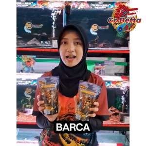 🇸🇬 GOBETTA MAGGOT BARCA – Dried BSF Maggot Grade A with Xtra Spirulina & Squid Ink Pellet Feed for Fish & Reptiles – Premium Pakan Pelet Ikan Channa Predator Reptile Food – Ready Stock in SG | SG Seller
