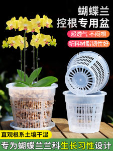 Transparent Plastic Hollow out Butterfly Orchid Pot Balcony Use Orchid Moss Control Root Pot New 2024 Home Decor Flower Pots
