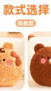 หมอนผ้าห่ม หมอนผ้าห่มตูกตา 100*170 ปริมาณ ผ้าห่มตูกตา พับเก็บเป็นตูกตา ผ้าคลุมกันหนาว ผ้าห่มนาโน ของขวัญ