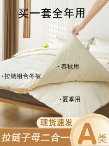 Handmade Silk Quilt 100% Mulberry Silk Double Quilts Two-in-One Zipper Quilt for Spring and Autumn Winter Quilt All Year Round Neutral Quilt