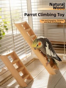 Play Training Climbing Ladder Toy for Parrots