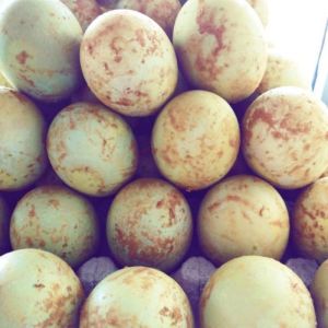 Telur Asin Panggang/ Oven Asli Brebes
