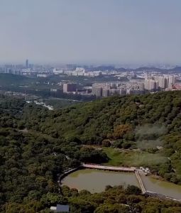 1.8-3meter 2.3-4meter Gunting Pemetik Buah Tinggi Pemetik Buah Pemotong Tree Pruner Galah Untuk Pohon Yang Tinggi