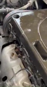 WIFEY ENGINE DEGREASER PLUS 5L