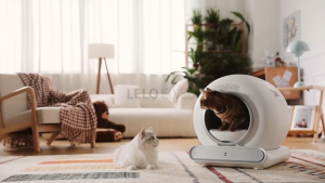 Automatic cleaning of cat litter box APP remote control