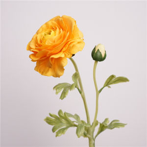 Decorative Peony Flower
