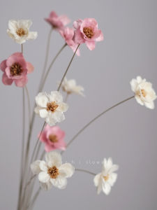 Blue Daisy Dried Flower Small Bouquet Artificial Flowers Decorative Ornaments That Do Not Wither Handmade Flowers for All Seasons