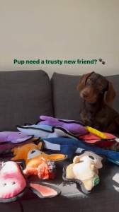 BECO Dog Toy Narwhal - Floats Squeaks Eco Friendly