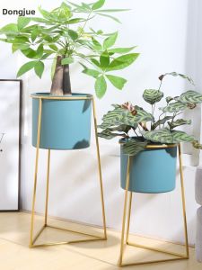 DONGJUE | Luxury Decorative Iron Plant Stand