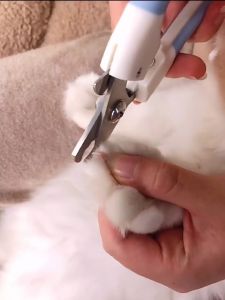 Pet Dog Cat Nail Cutter Pet Grooming Tool With Nail File Stainless Pet Nail Clipper For Cats and Dogs