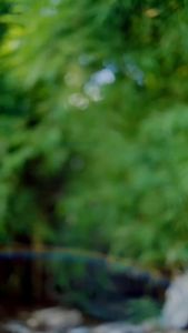 Perlengkapan Hiking dan Camping: Raincover Bag Zuna