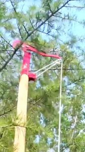 Gunting Dahan Tarik Pisau Tali Pohon Multifungsi Alat Tamanan Anti Karat Peralatan Kebun Tree Pruner Gergaji