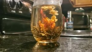 Hộp Trà Nở Hoa Long Châu Hoa Trà 16 kiểu tuyệt đẹp