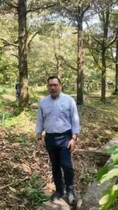 ฮิวมิค ผง 100% ด็อกเตอร์ดิน Doctor Din 25 กิโลกรัม